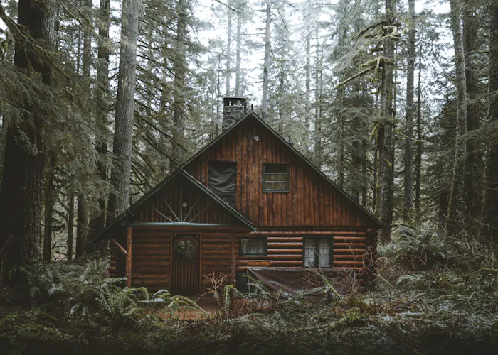Timber cabin in a forest clearing