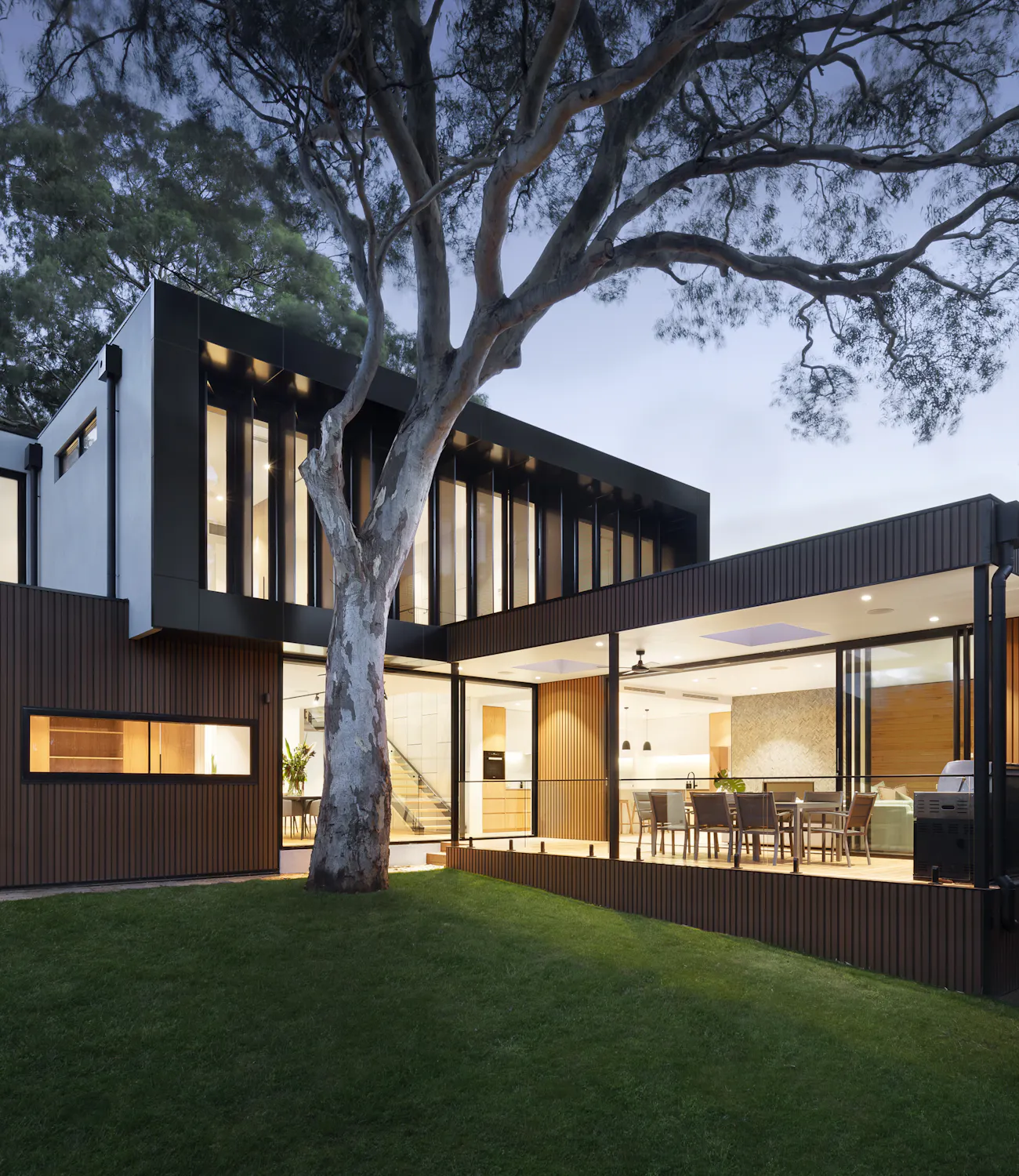 Contemporary timber-clad home under a large eucalyptus tree at dusk
